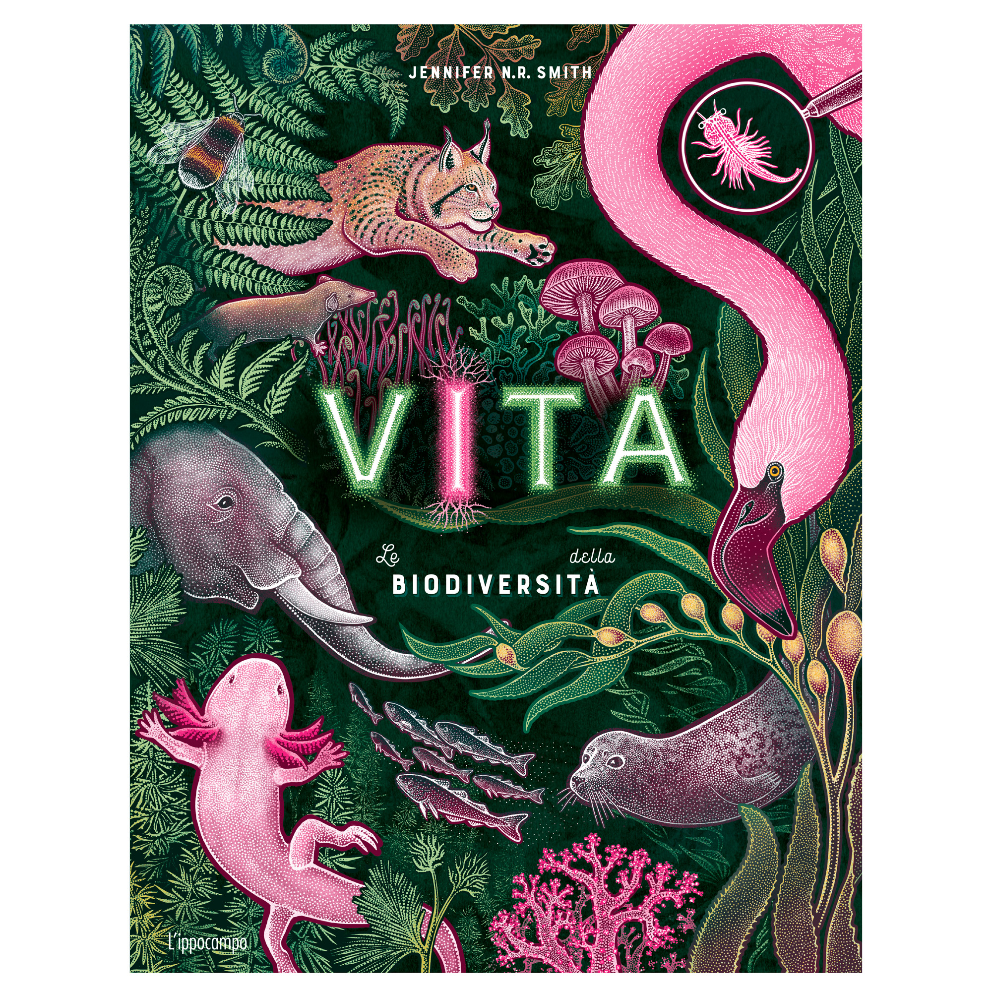 L'IPPOCAMPO Vita - Meraviglie della Biodiversità - Libro Illustrato Natura - immagine 1