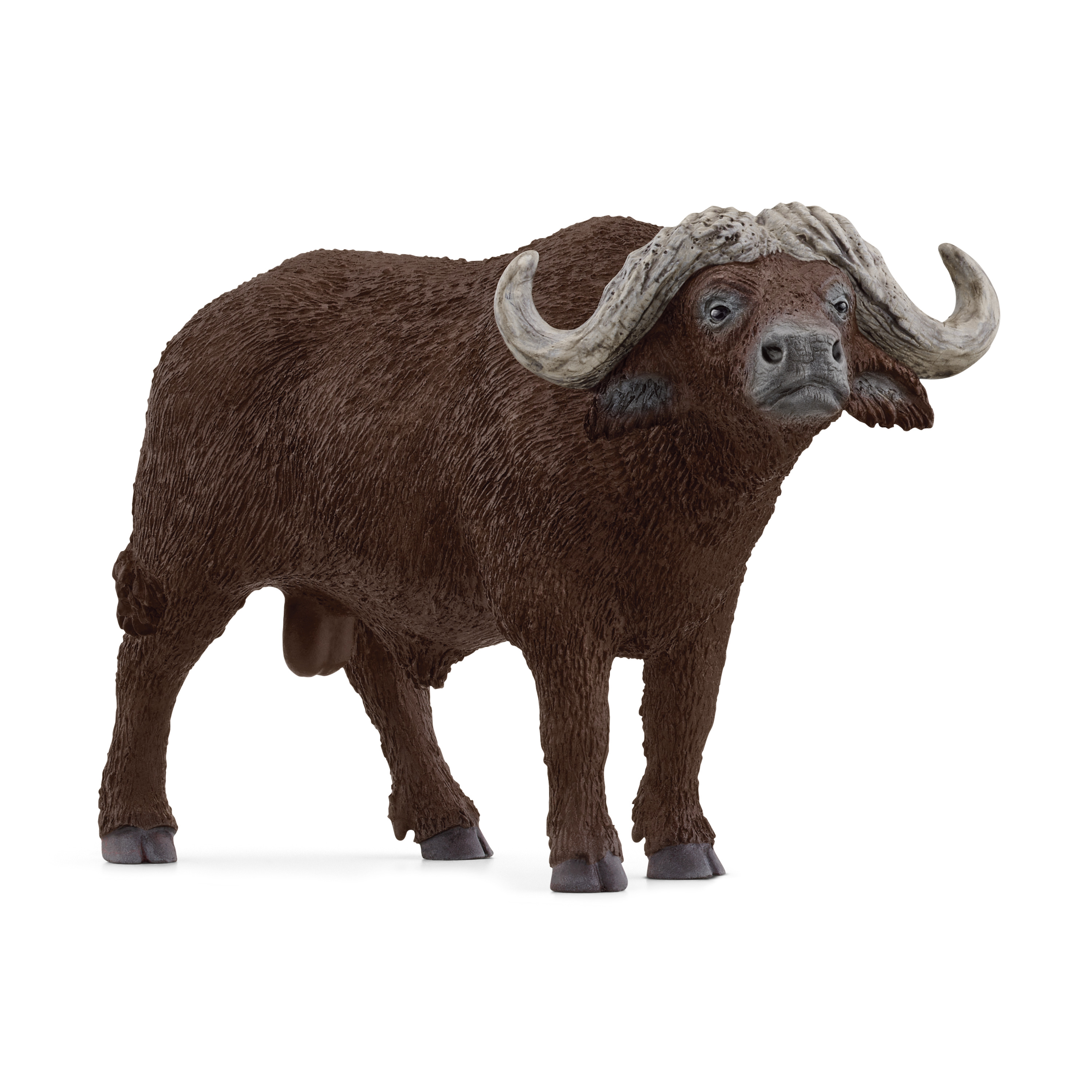 SCHLEICH Bufalo Africano - Modellino Animale Safari Wild Life - immagine 1