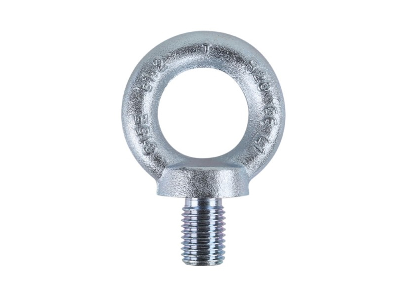 GOLFARI MASCHI DIN580 C15E ZINCATI Z M6 - immagine 1